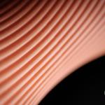 Lucid Vase – Moderne Designvase mit klarer, harmonischer Struktur